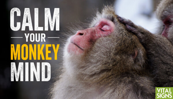 Mindfulness: Why Your Mind Runs Wild—First Steps to Taking Control