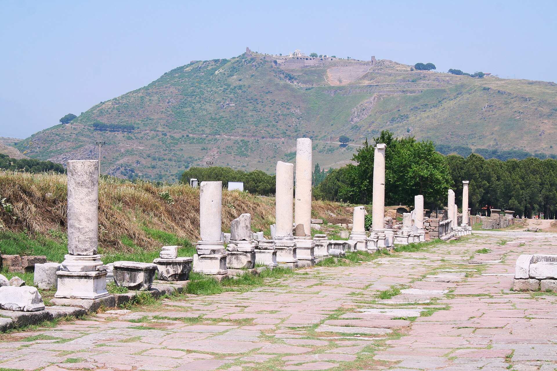 Pergamum