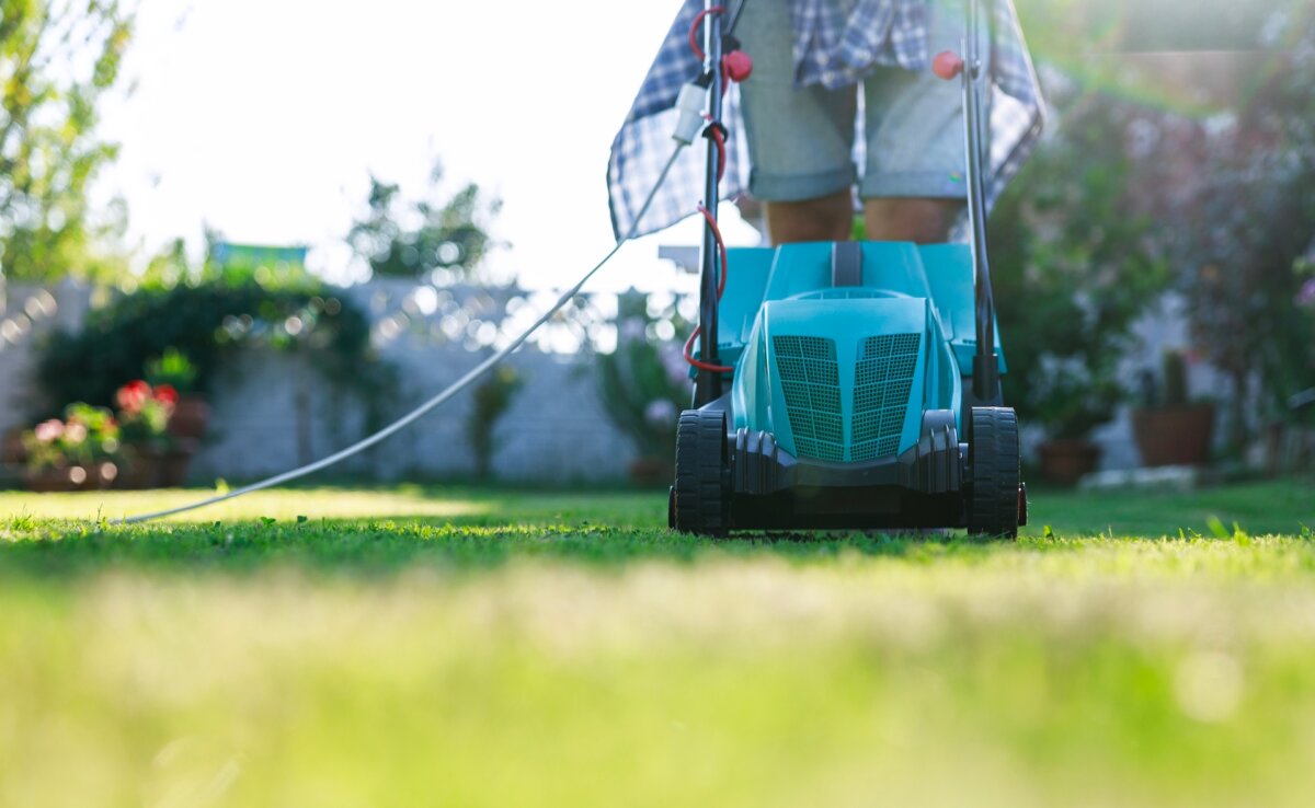 Any plant cut down to such a comparatively small size is more susceptible to insects and diseases and needs more careful watering to help compensate for the smaller root system that goes hand in hand with the smaller leaf area. (Ahmet Misirligul/Shutterstock)
