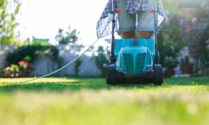 Proper Lawn Mowing Height