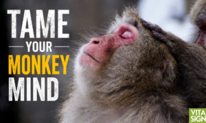 Mindfulness: Why Your Mind Runs Wild—First Steps to Taking Control