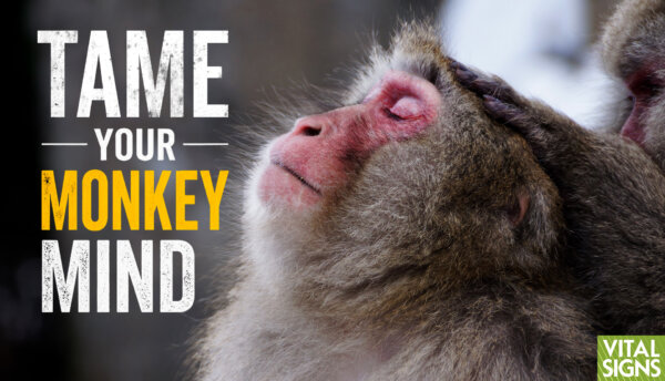 Mindfulness: Why Your Mind Runs Wild—First Steps to Taking Control