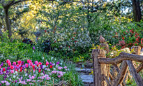 Shakespeare Gardens Bring the Poet’s Language to Life