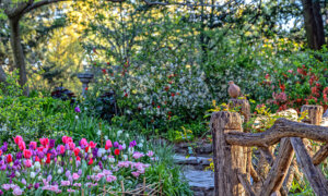 Shakespeare Gardens Bring the Poet’s Language to Life