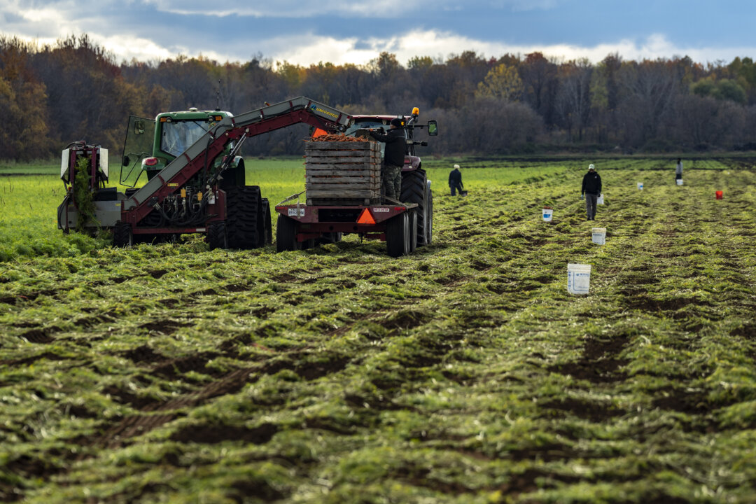 Canada’s Food System Is Under Strain—What Farmers Are Saying Should Concern Us All