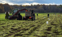 Canada’s Food System Is Under Strain—What Farmers Are Saying Should Concern Us All