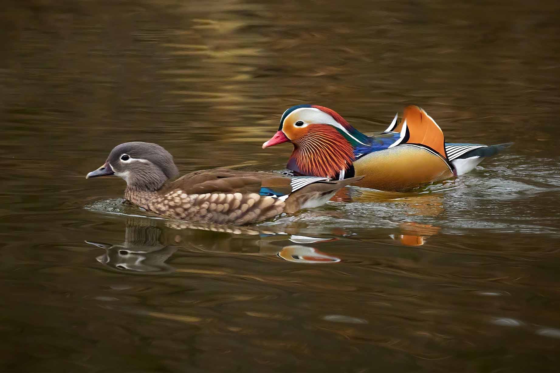 Epoch Times Photo