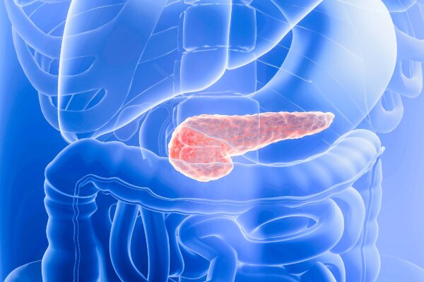 New Probable Treatment Option for Pancreatic Cancer