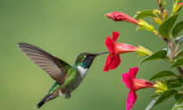 25 Everyday Miracles to Inspire Awe