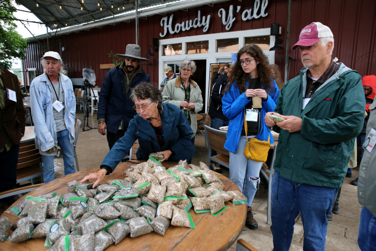 Participants at the American Regeneration Summit collect seeds at the Sovereignty Ranch in Bandera, Texas, on May 1, 2026.. (Bobby Sanchez/The Epoch Times)
