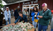 RFK Jr. Wants to Expand Regenerative Agriculture Pilot Program