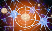 Major Review Casts Doubt on a Generation of Alzheimer’s Drugs