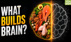 Which Protein, Fats for Brain Health? What’s Missing From the New Food Pyramid? | David Perlmutter MD