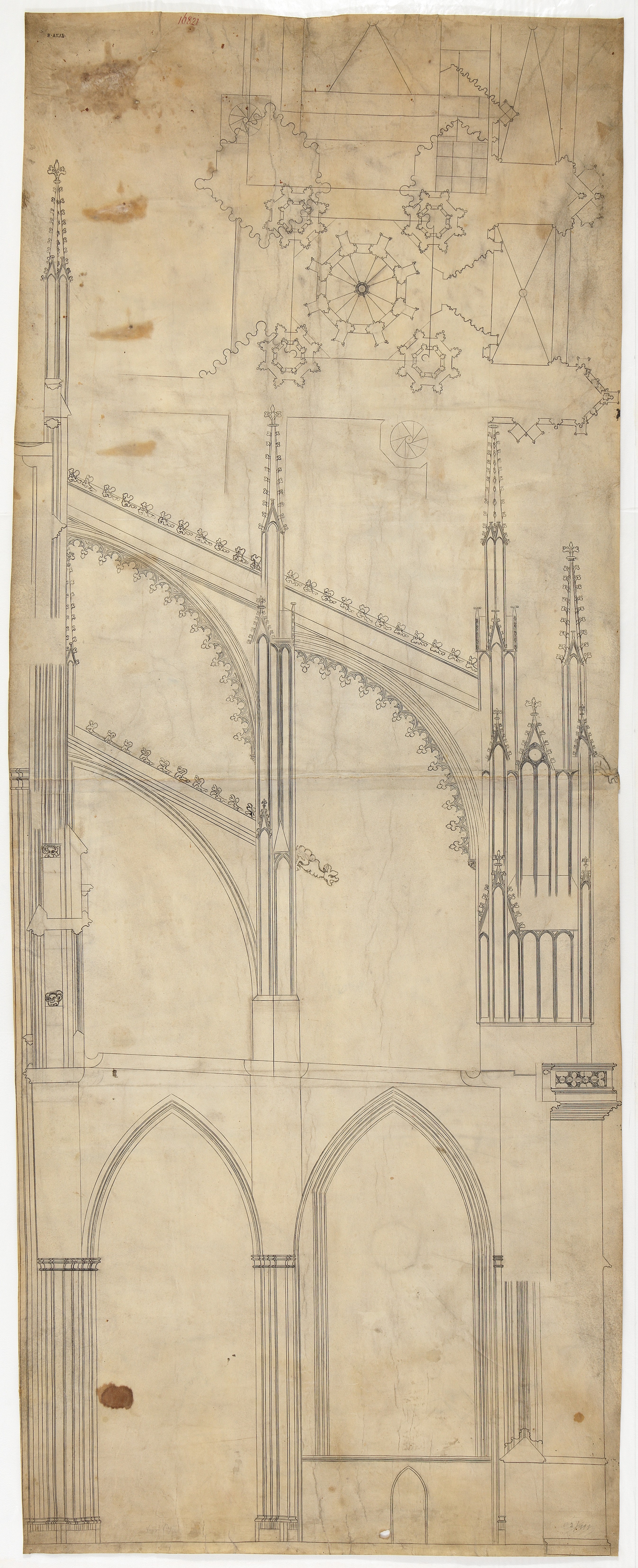 Gothic By Design