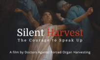Silent Harvest