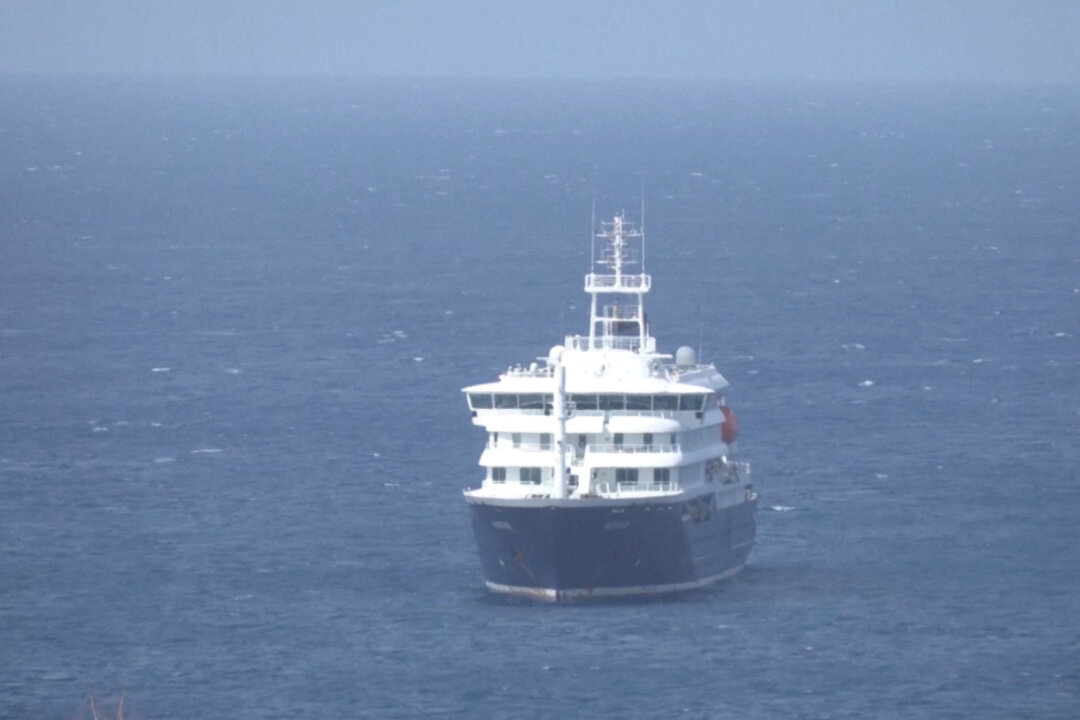 South Africa Identifies Hantavirus Strain That Can Spread Between Humans in 2 Cruise Ship Passengers
