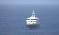 South Africa Identifies Hantavirus Strain That Can Spread Between Humans in 2 Cruise Ship Passengers