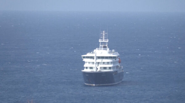 South Africa Identifies Hantavirus in Deadly Cruise Ship Outbreak   
