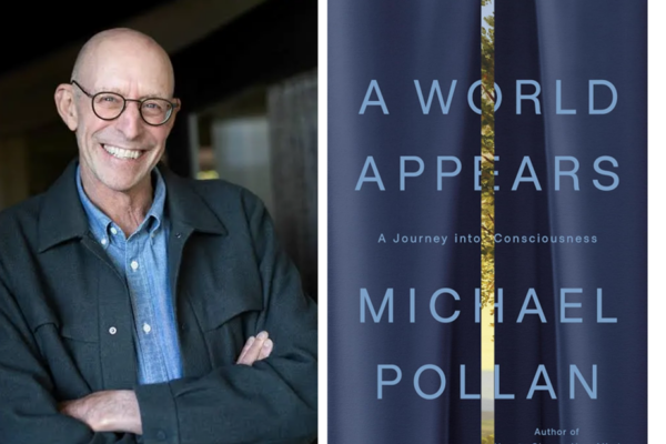 Thinking About Thinking: A Review of ‘A World Appears’