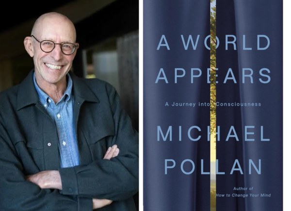 Thinking About Thinking: A Review of ‘A World Appears’
