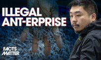 Chinese Man Arrested, Sentenced to Prison for Trying to Smuggle 2,200 Ants Out of Kenya