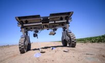 The Farmer Is Still Necessary