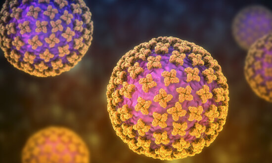 Hantavirus: A Rare yet Deadly Virus Strikes Cruise Ship, and What to Watch out For