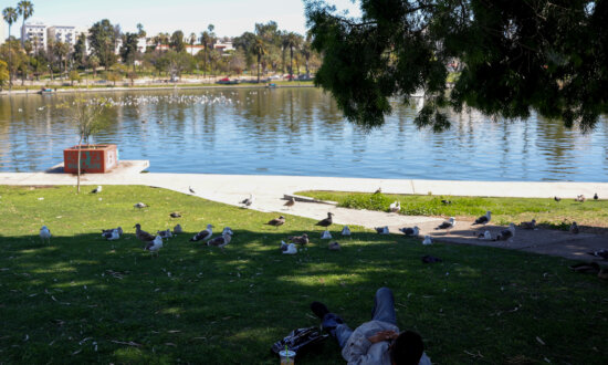 Federal Authorities Arrest 18 for Alleged Drug Distribution Around Los Angeles Park