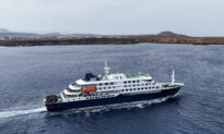 One Canadian Tests ‘Presumptive Positive’ for Hantavirus After Cruise Ship Exposure