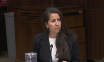 Meta Says Lawful Access Bill Would Enlist Businesses in Government Surveillance