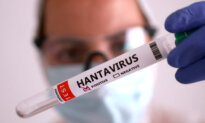 Hantavirus Cases Rise Among Cruise Ship Passengers as Countries Expand Quarantine Measures