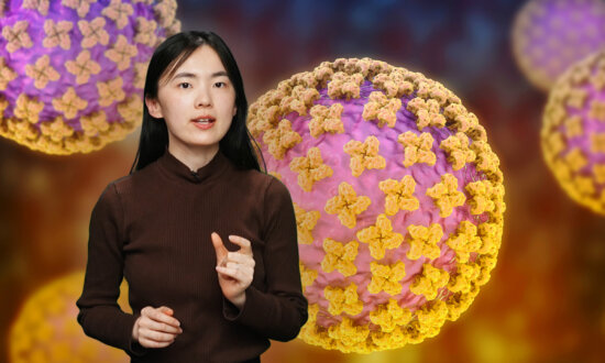What Is Hantavirus and How Dangerous Is It?