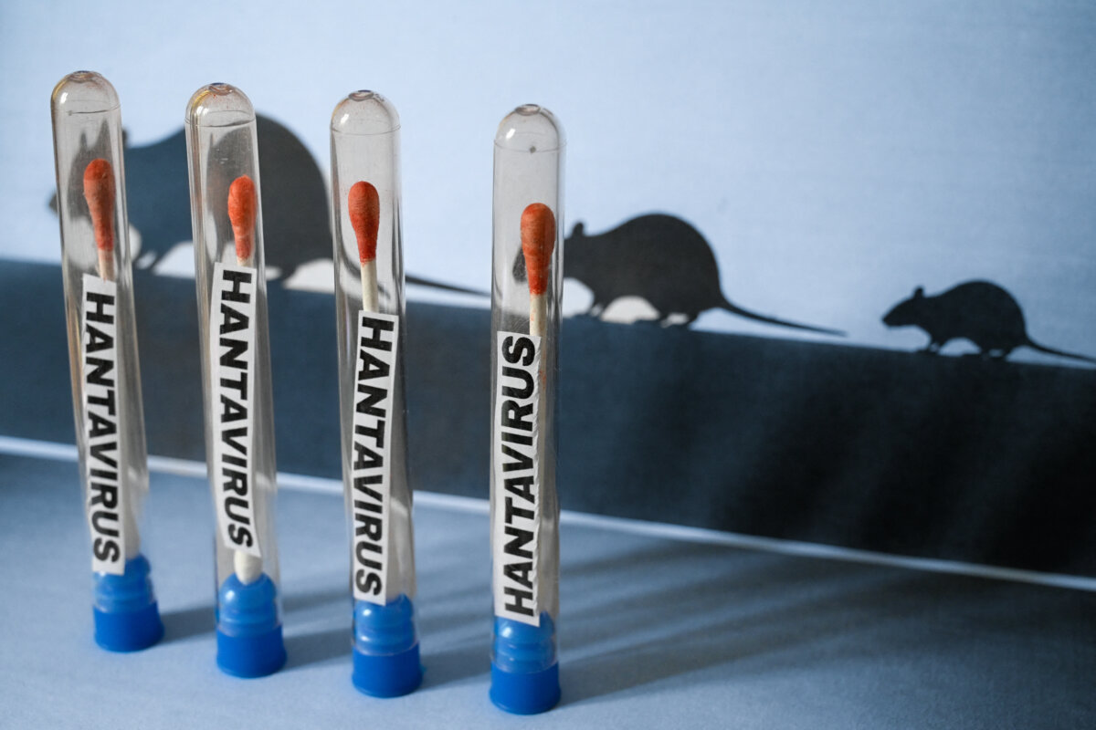 illustration of a hantavirus testing concept with laboratory tubes containing cotton swabs and hantavirus labels in Paris, France, on May 4 2026. (Joao Luiz Bulcao/Hans Lucas/AFP via Getty Images)