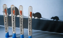 5 Australians to Face Quarantine on Return From Hantavirus Hit Cruise Ship