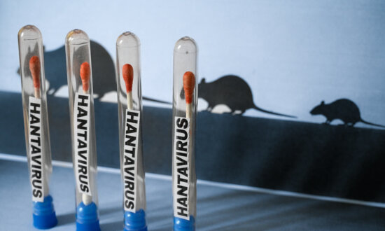 5 Australians to Face Quarantine on Return From Hantavirus Hit Cruise Ship