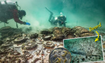Swiss Underwater Researchers Find 2,000-Year-Old ‘Shipwreck’ Cargo of Roman Swords, Ceramics