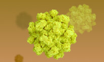 Why Cruise Ships Keep Losing the Battle Against Norovirus–What You Need to Know