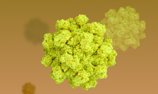 Why Cruise Ships Keep Losing the Battle Against Norovirus–What You Need to Know