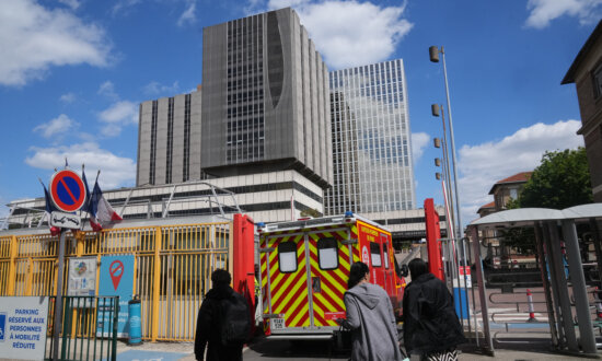 French Hantavirus Patient Is Critically Ill, on an Artificial Lung as Total Cases Grow to 11