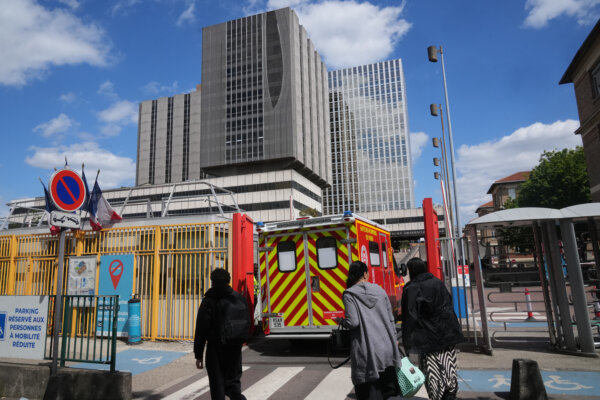 French Hantavirus Patient Critically Ill