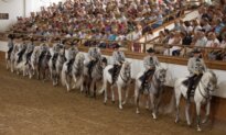 Rick Steves’ Europe: Europe’s Animal Shows and Experiences