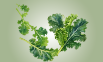 Kale Improves Vascular and Eye Health—How to Maximize Benefits