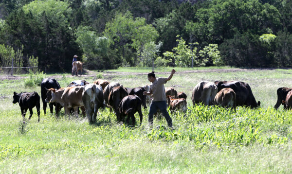 Inside the Farming Movement to Detox America