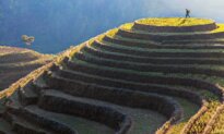 Taking the Kids: A Unique Vietnam Adventure