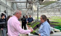 RFK Jr. Visits Ohio Farm That Shows Regenerative Methods Grow Healthy Food
