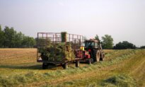 Is Sustainability Policy Sustainable for the Family Farm?