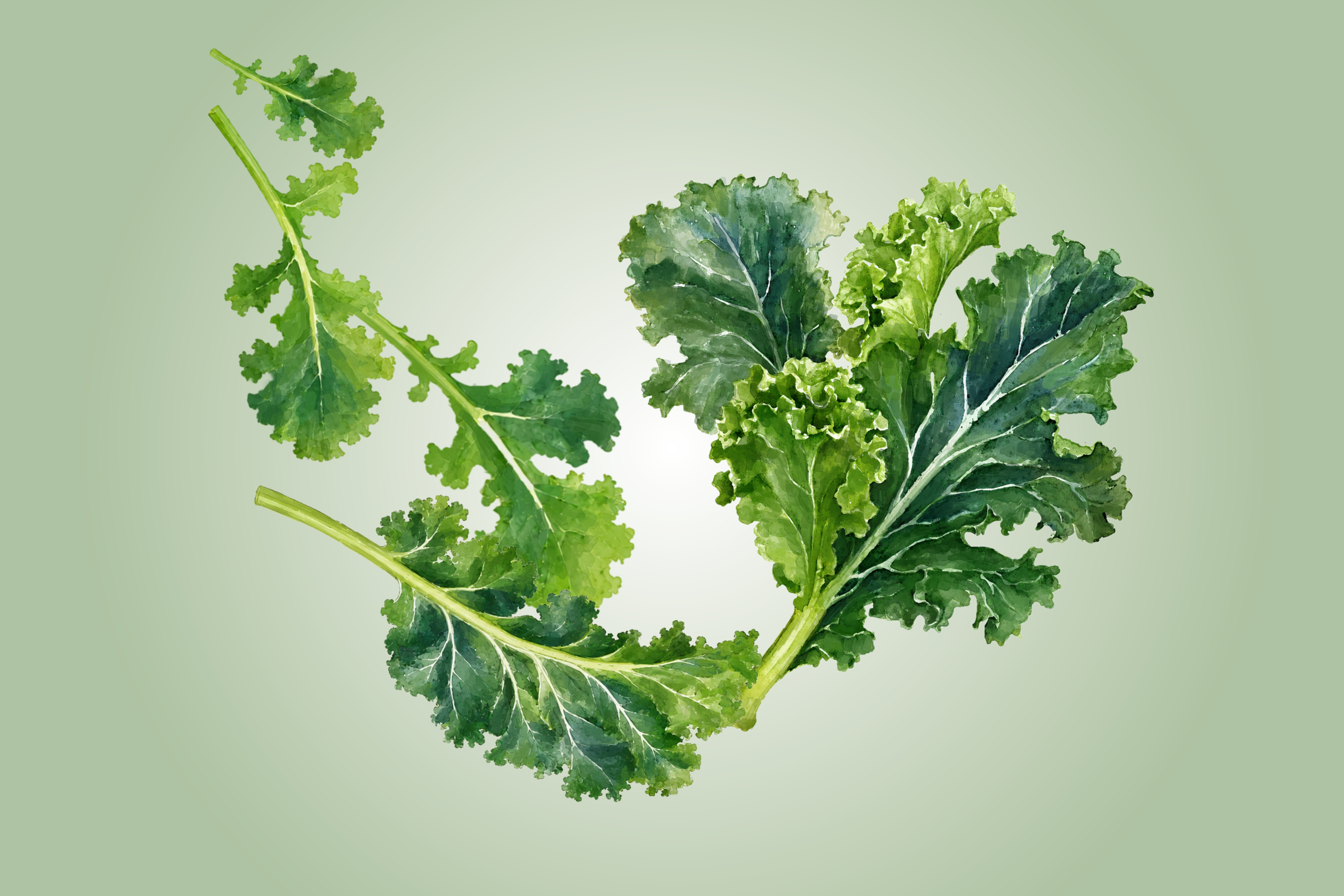 Kale: An Unpalatable but Highly Nutritious Leafy Green—How to Maximize Taste and Benefits