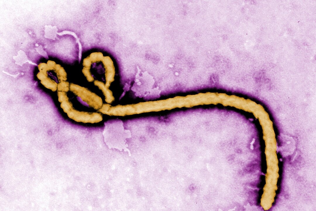 US Issues Travel Advisories Over Ebola Outbreak in Congo