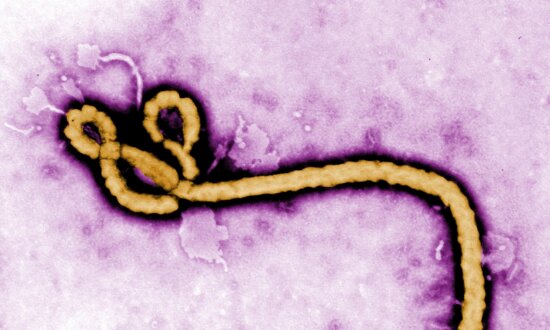 US Issues Travel Advisories Over Ebola Outbreak in Congo