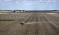 White House Announces $17 Billion Farm Products Deal With China